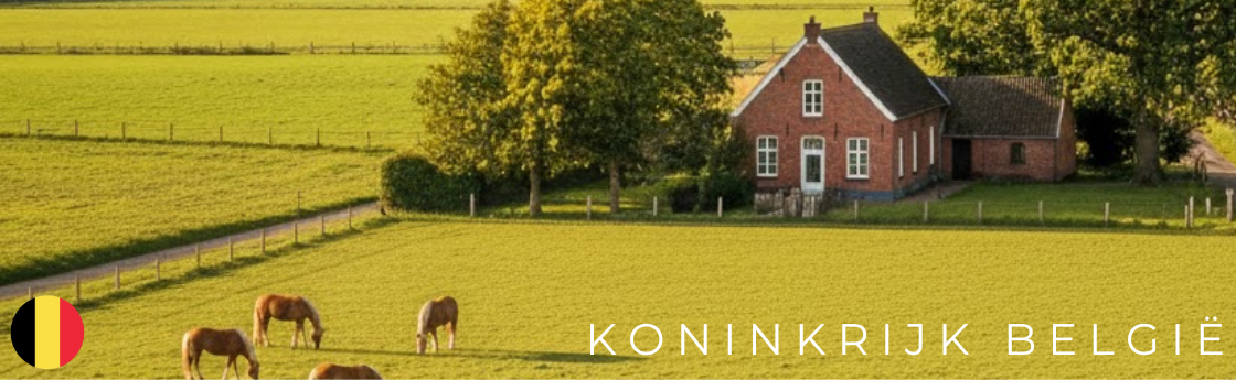 Resellers and therapists in Belgium